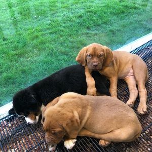 Meet your Posher, Daniela